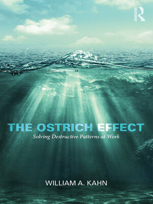 cover image of The Ostrich Effect